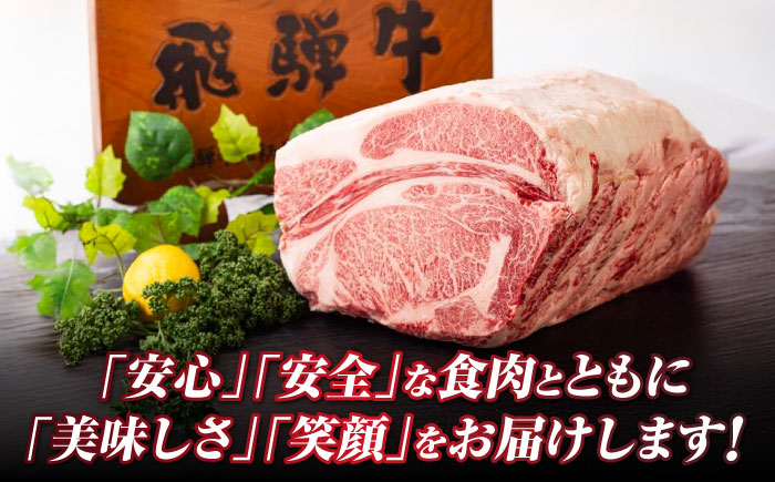 飛騨牛 切り落とし 牛肉 飛騨牛 切り落とし きりおとし 切りおとし 肉 和牛