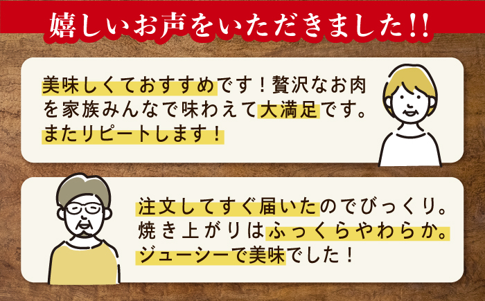 国産 牛肉100% ハンバーグ はんばーぐ A5 冷凍 調理済み 味付き ハンバーグ はんばーぐ 和牛 ハンバーグ 冷凍