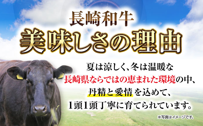 人気 和牛  長崎和牛 希少 柔らかい やわらかい 贈り物 ギフト  肉 お祝い