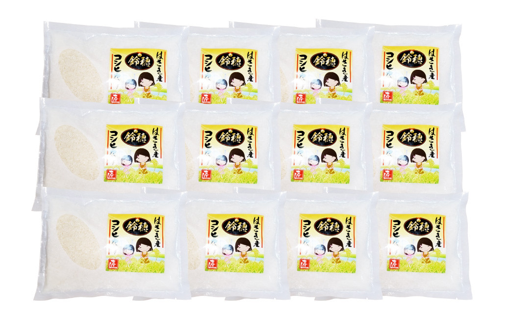 【 令和7年産 】 オリジナル ブランド米 ！ はさき産 コシヒカリ 鈴穂 ( 精米 ) 2合 × 12袋 