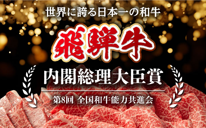 定期便 飛騨牛 モモ・肩肉  しゃぶしゃぶ 焼肉 すき焼き 牛肉 飛騨牛 和牛 白川町