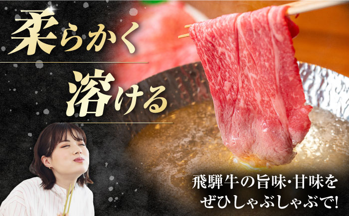 しゃぶしゃぶ 牛肉 和牛 飛騨牛 肩ロース モモ