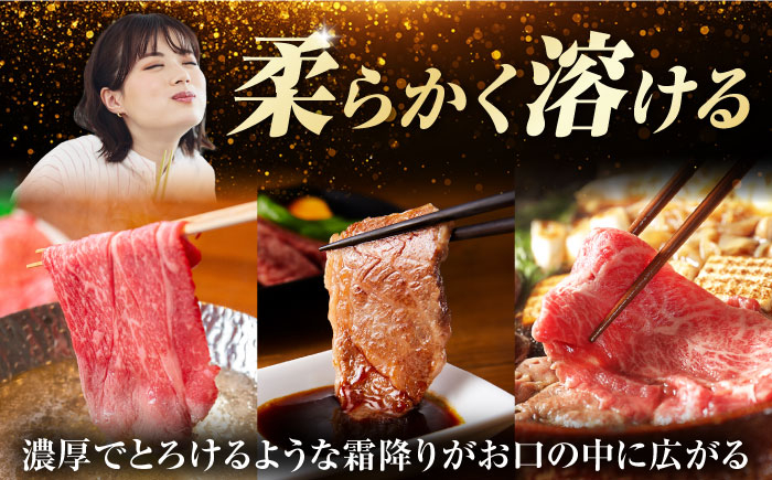 定期便 飛騨牛 モモ・肩肉 リブロースステーキ しゃぶしゃぶ 焼肉 すき焼き 牛肉 飛騨牛 和牛 白川町