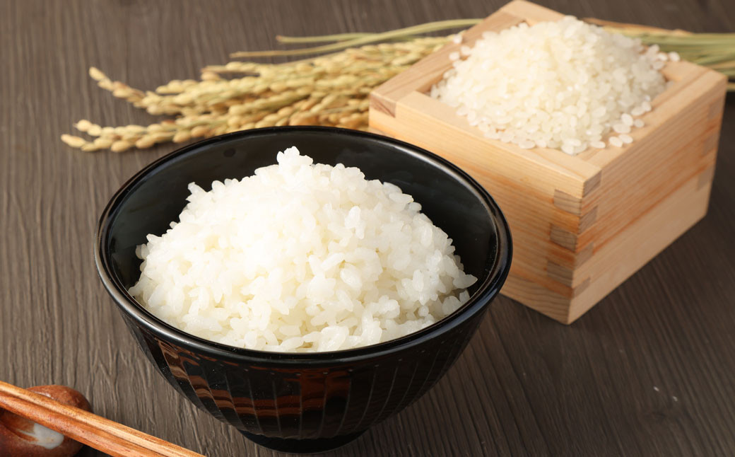 【 令和7年産 】 オリジナル ブランド米 ！ はさき産 コシヒカリ 鈴穂 ( 精米 ) 2kg × 2袋