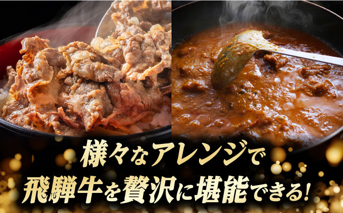 すき焼き 牛肉 和牛 ロース 飛騨牛 すき焼 すきやき スライス 冷凍