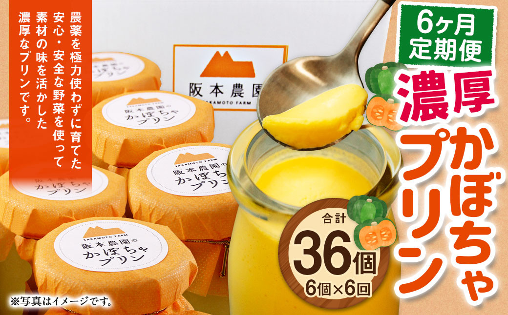 【6ヶ月定期便】濃厚かぼちゃプリン6個入り