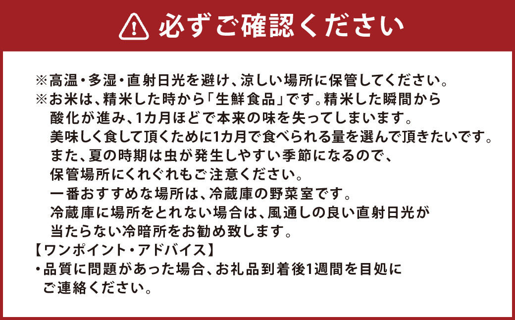 大自然米 夢つくし 玄米 計10kg 5kg×2袋