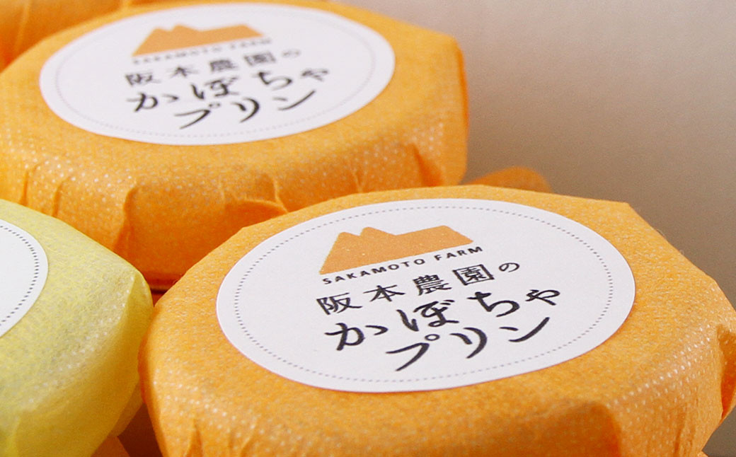 【6ヶ月定期便】濃厚かぼちゃプリン6個入り