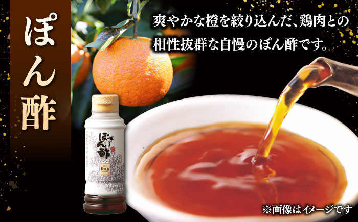 博多華味鳥 水炊き セット 3~4人前 (ちゃんぽん麺付)