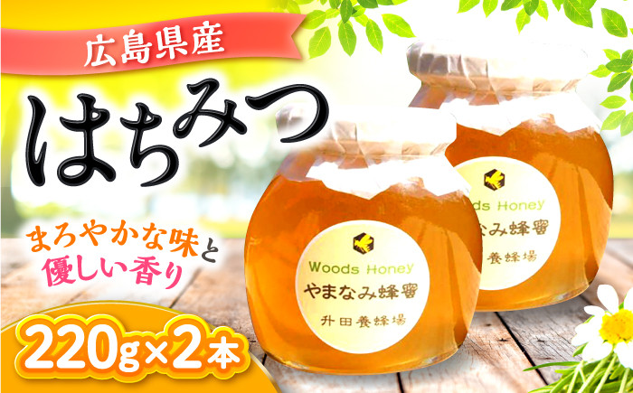 はちみつ 蜂蜜 ハチミツ ハニー honey 2本 セット やまなみ 純粋 非加熱 国産 お取り寄せ グルメ 贈答 ギフト 