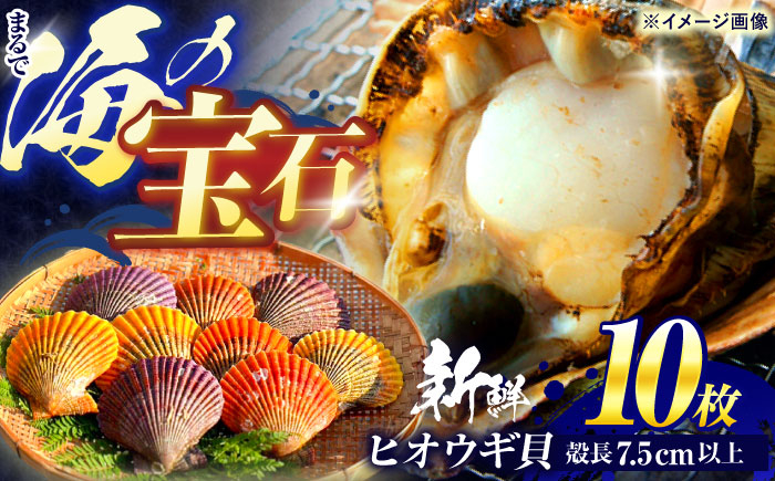 貝 かい 魚介 ぎょかい 海鮮　かいせん 海産物 二枚貝 檜扇貝 ヒオウギ ひおうぎ 貝柱 ホタテ ほたて バーベキュー