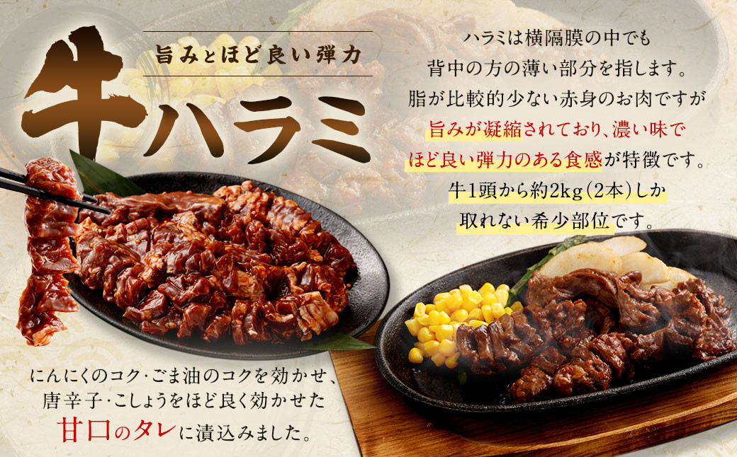 【訳あり】秘伝コク旨たれ漬け牛ハラミ肉900g