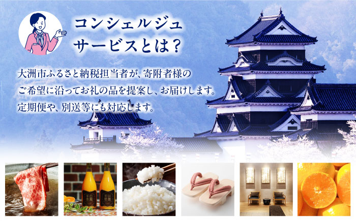 【大洲市コンシェルジュ】返礼品おまかせ！寄附額50万円コース [AGXX027]