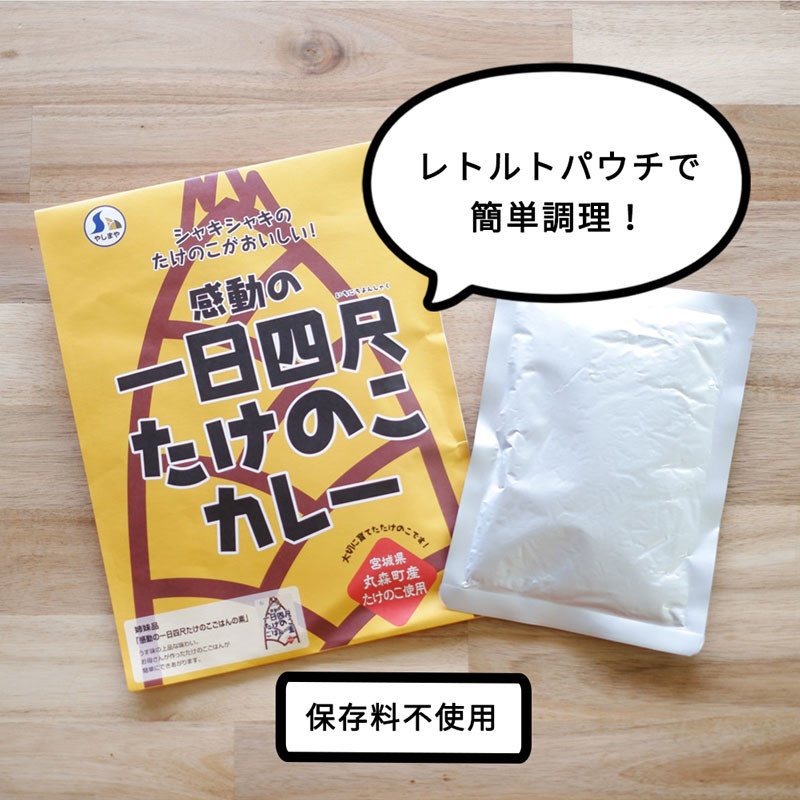 たけのこカレー1人前×4個セット