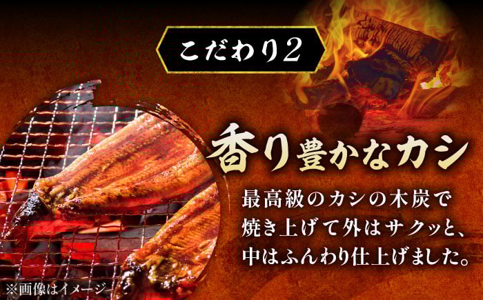 国産 本格炭火焼 特大 うなぎ 蒲焼 2尾（180g×2尾）/炭火焼古賀 [UDH039]