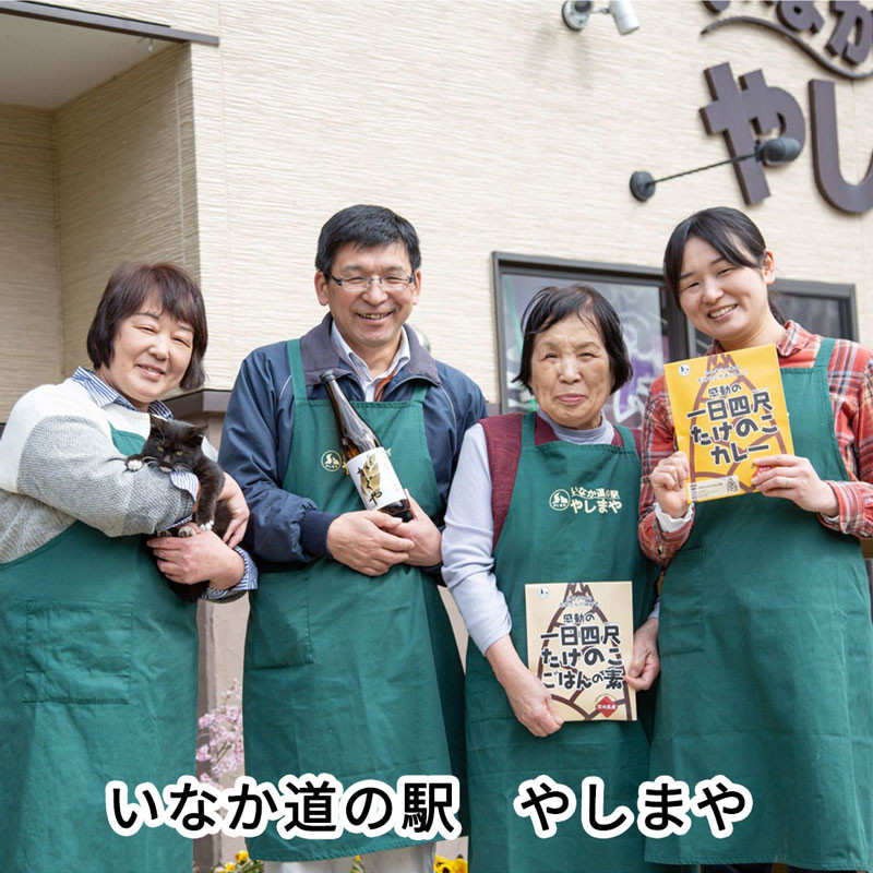 たけのこカレー1人前×4個セット