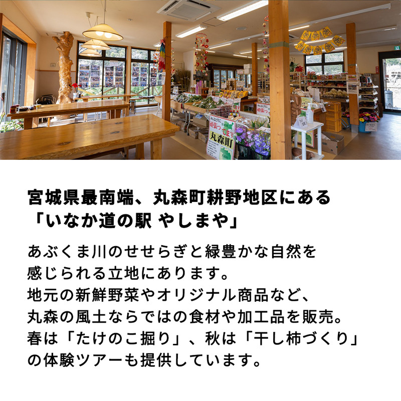 たけのこカレー1人前×4個セット