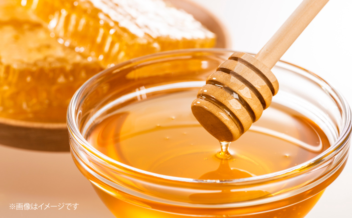 国産 蜂蜜 600g×1瓶