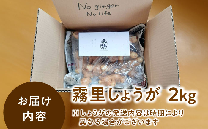 しょうが 生姜 ショウガ しょうが湯 生姜焼き 国産 ジンジャー 薬味 新生姜