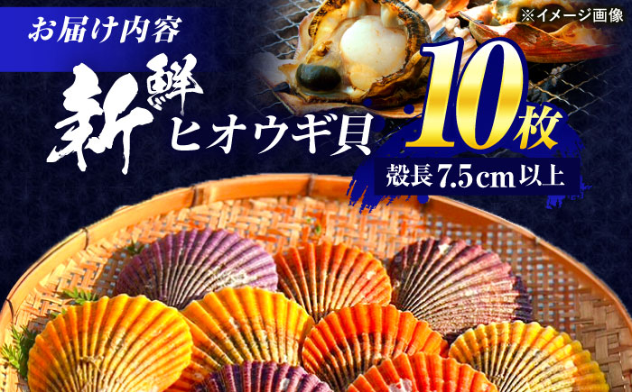 貝 かい 魚介 ぎょかい 海鮮　かいせん 海産物 二枚貝 檜扇貝 ヒオウギ ひおうぎ 貝柱 ホタテ ほたて バーベキュー