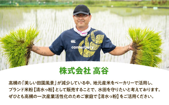 食品 米粉 米 お米 たこ焼き からあげ ホットケーキミックス グルテンフリー