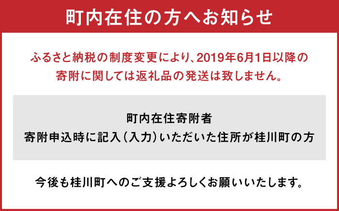 めんたいこ 柚子 柚子めんたい 定期便 福岡