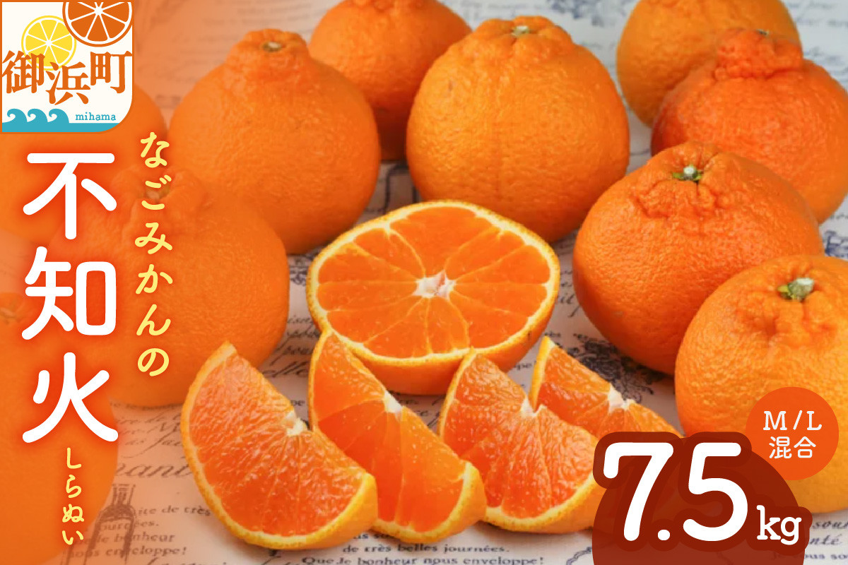 【2026年発送 先行予約品】