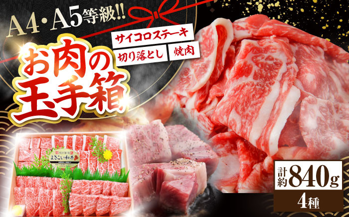 高知から美味しいお肉の玉手箱! 化粧箱入り 総計約840g 牛肉 ステーキ 焼肉 切り落とし 国産 A4 A5 