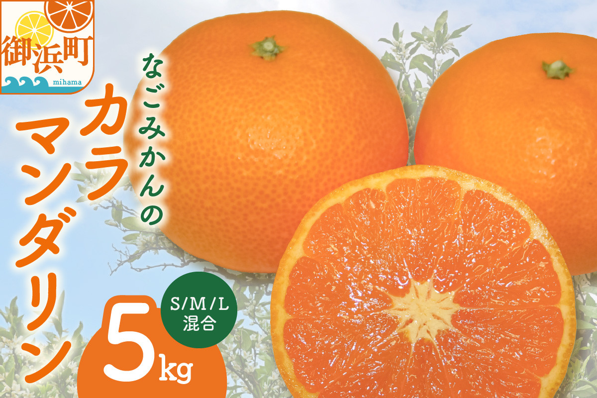 【2026年発送 先行予約品】