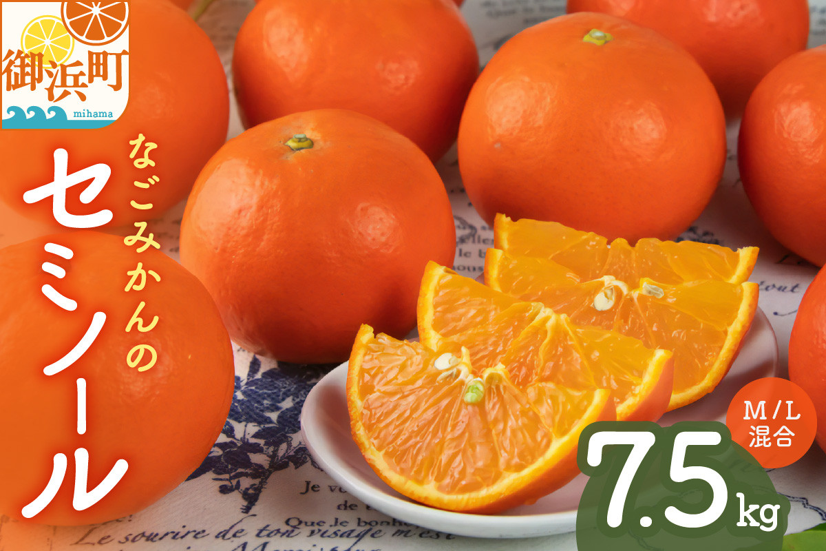 【2026年発送 先行予約品】