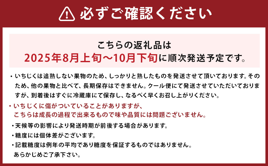 じぃじの いちじく【とよみつひめ】約1kg