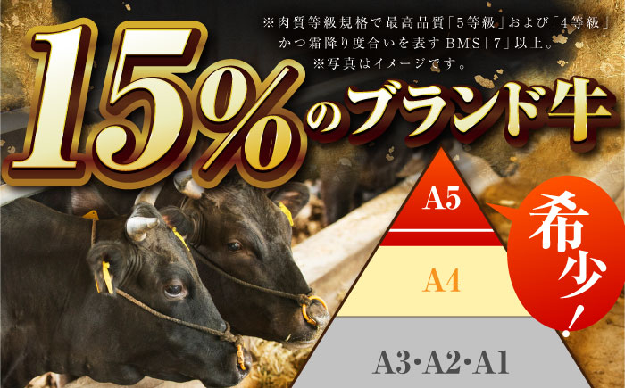 【全6回定期便】佐賀牛 切り落とし 1.2kg（150g×8パック）　【吉祥】 [HCW016]