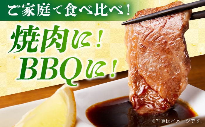 【全6回定期便】佐賀牛 焼肉セット（モモ/カタ赤身/肩ロース） 【吉祥】 [HCW010]