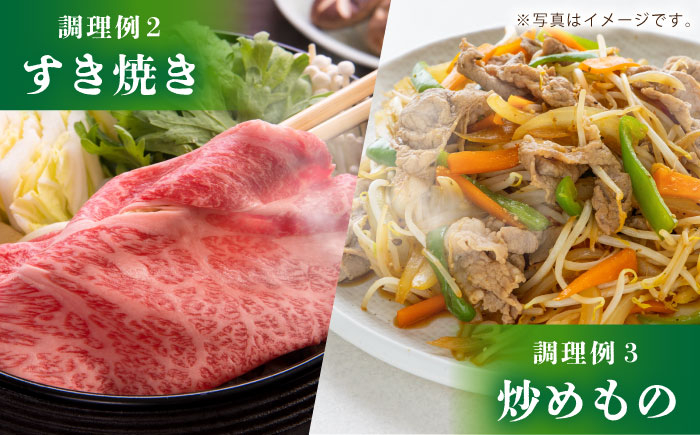 【全12回定期便】佐賀牛 薄切りセット（モモ/カタ赤身/ロース）　【吉祥】 [HCW008]