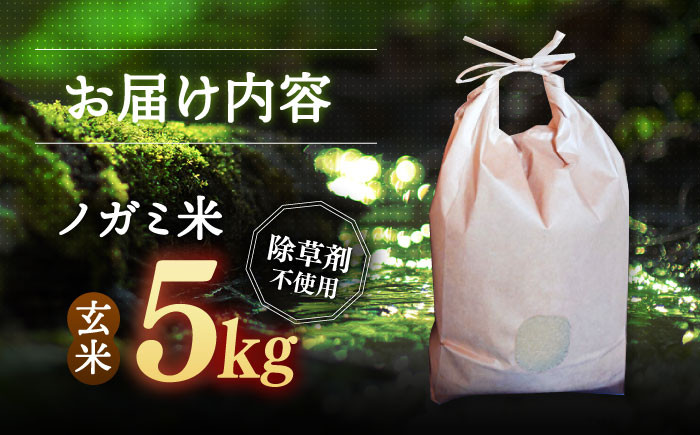 玄米 5kg