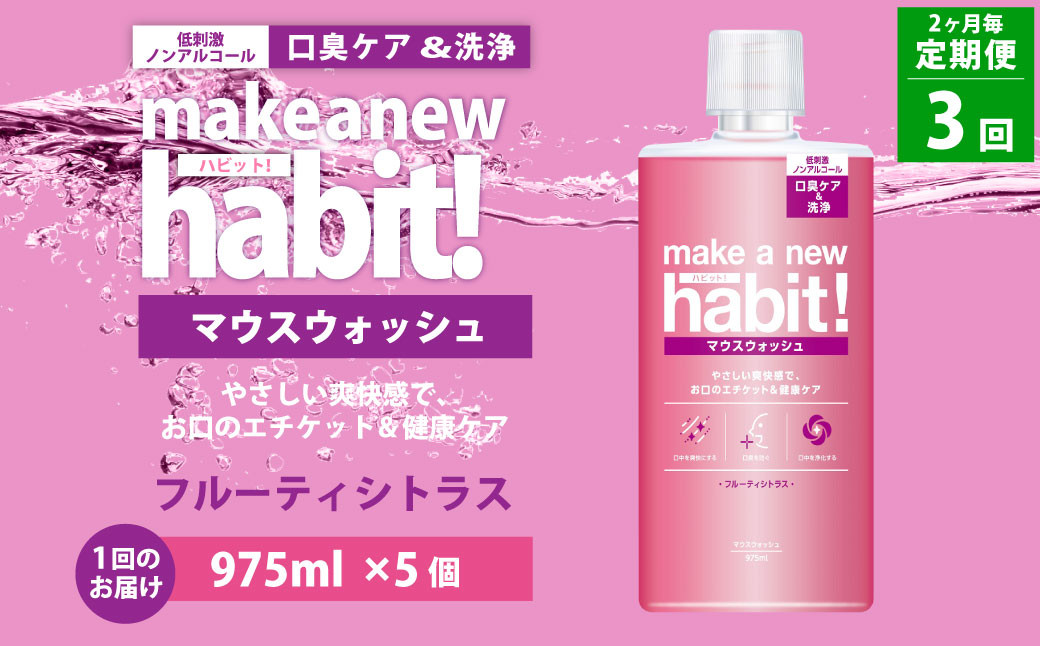 【2ヶ月毎3回定期便】マウスウォッシュ メイクアニューハビット (ノンアルコール フルーティシトラス)975ml×5個 セット