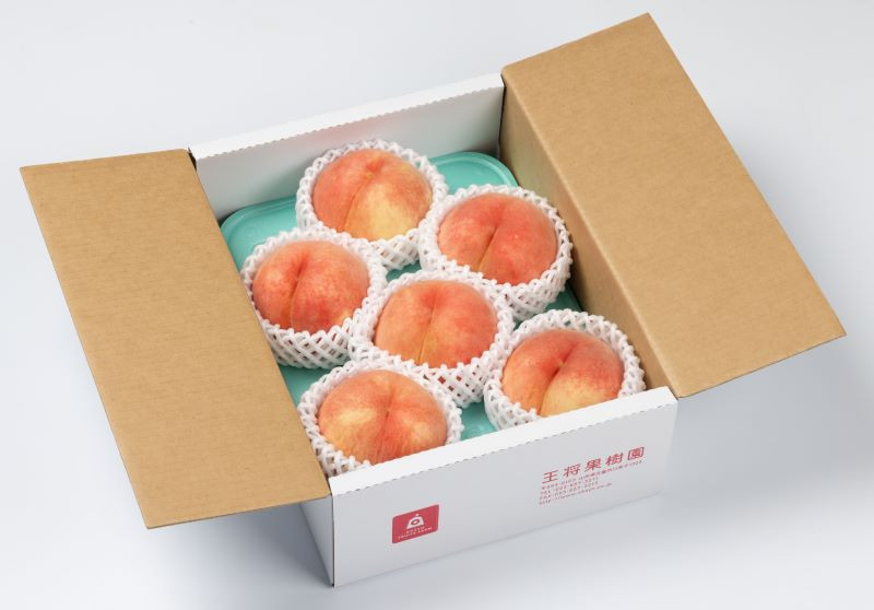 写真はイメージです