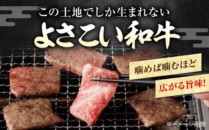 高知から美味しいお肉の玉手箱! 化粧箱入り 総計約840g 牛肉 ステーキ 焼肉 切り落とし 国産 A4 A5 