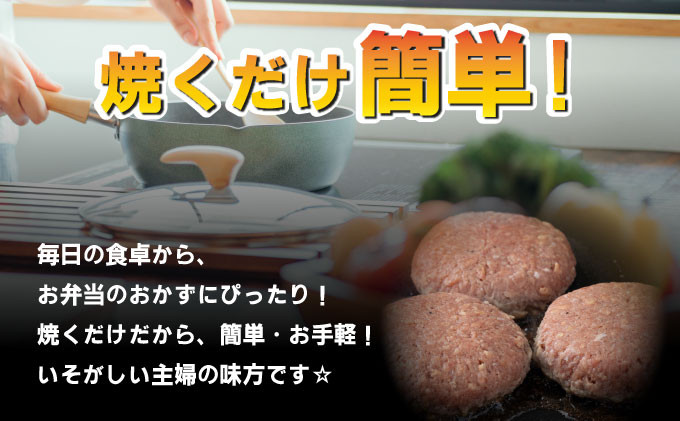 《数量限定》選べる個数 23個 8個 佐賀牛ハンバーグ120g ふっくらジューシー！