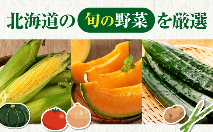 朝採れ 旬の野菜 10品目 詰め合わせ野菜 セット先行予約 夏野菜 秋野菜  北海道 朝採れ 詰め合わせ 