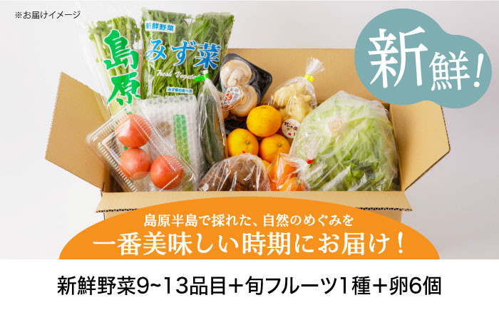 野菜 卵  フルーツ 定期便