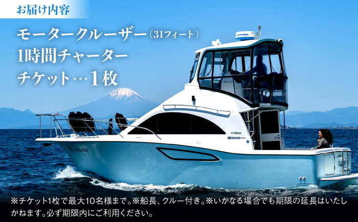 葉山マリーナ チャータークルーズ 10名様分 モータークルーザー 乗船券 神奈川県 葉山町 体験 チケット 関東 旅行 乗船券