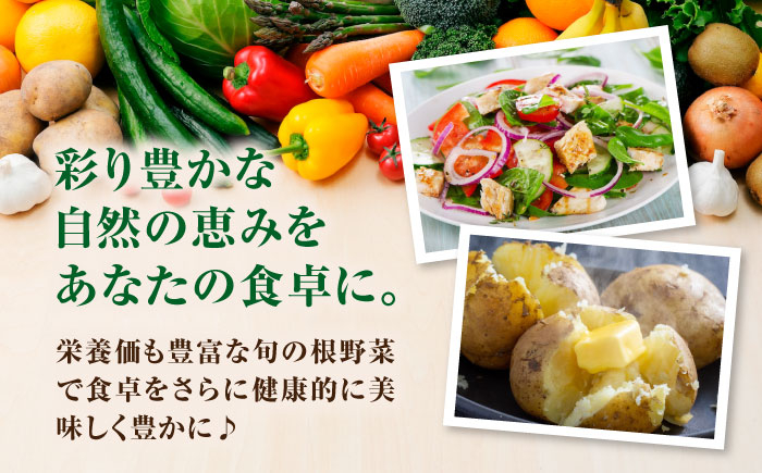 秋のうまいもん 6種セット先行予約 セット 詰め合わせ 秋野菜　冬野菜  たまねぎ じゃがいも 