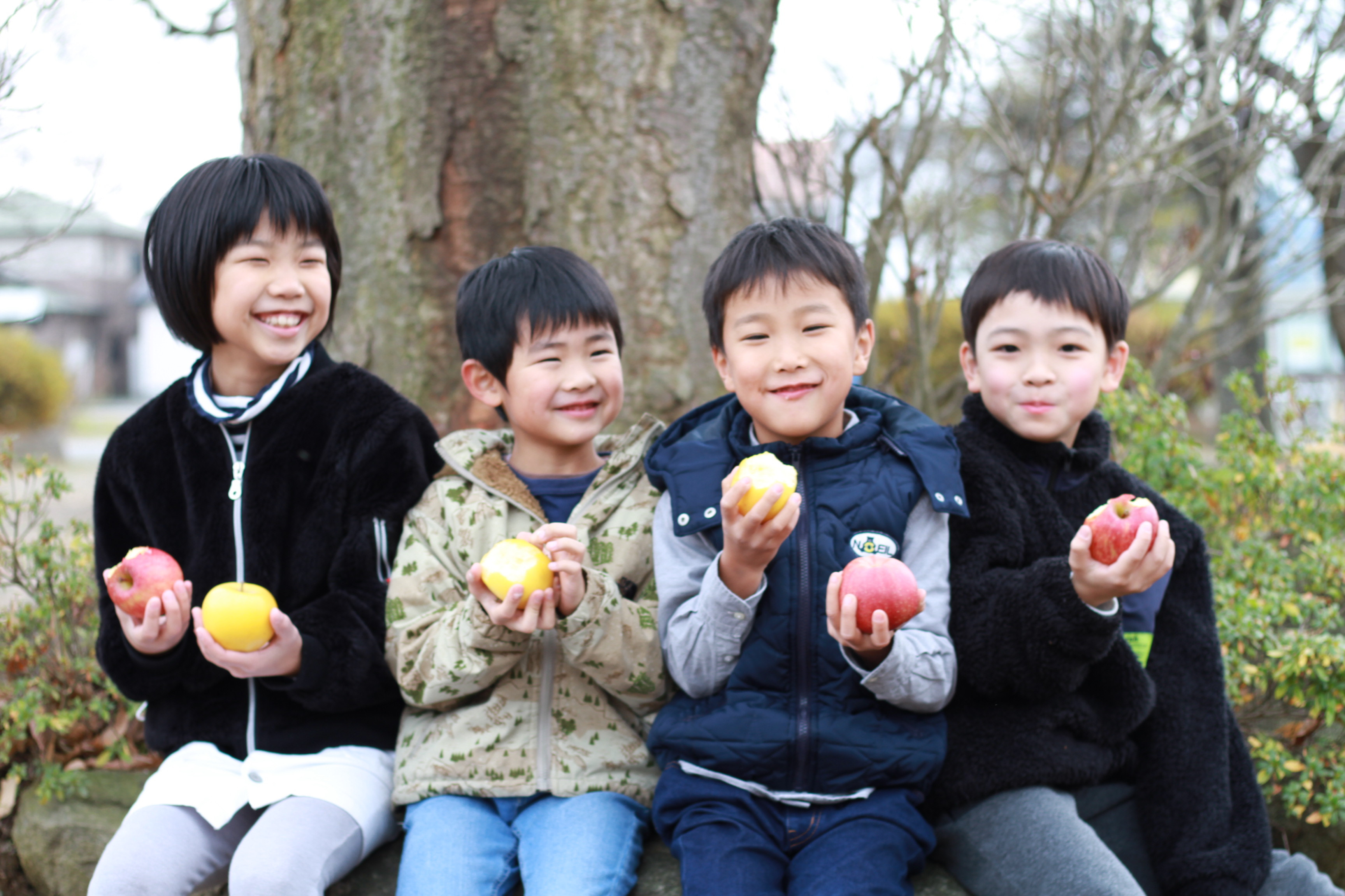 谷地農園のりんごは地元の子供たちにも人気です（画像にはサンふじ以外も含まれています）