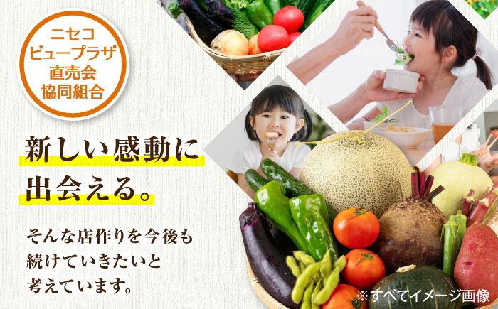 秋のうまいもん 6種セット先行予約 セット 詰め合わせ 秋野菜　冬野菜  たまねぎ じゃがいも 