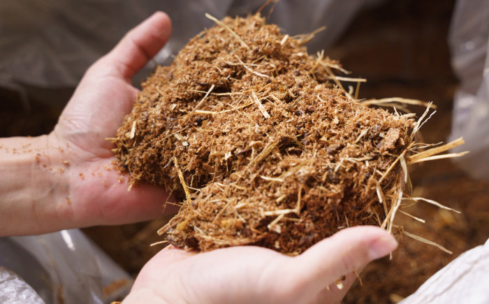 お肉 牛肉 和牛 国産 焼肉 すき焼き 黒毛和牛 セット 広島県産 精肉 贈答