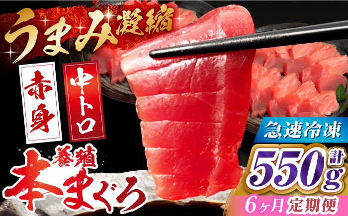 長崎 五島 対馬 佐世保 長崎県産 マグロ まぐろ 鮪 中トロ 中とろ 赤身 刺身 海鮮丼 寿司 真空パック 超速冷凍 定期便