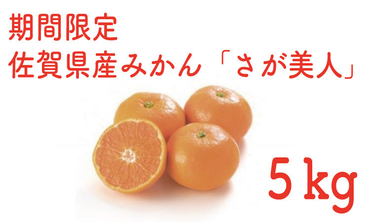 佐賀県が誇る温州みかんブランド！