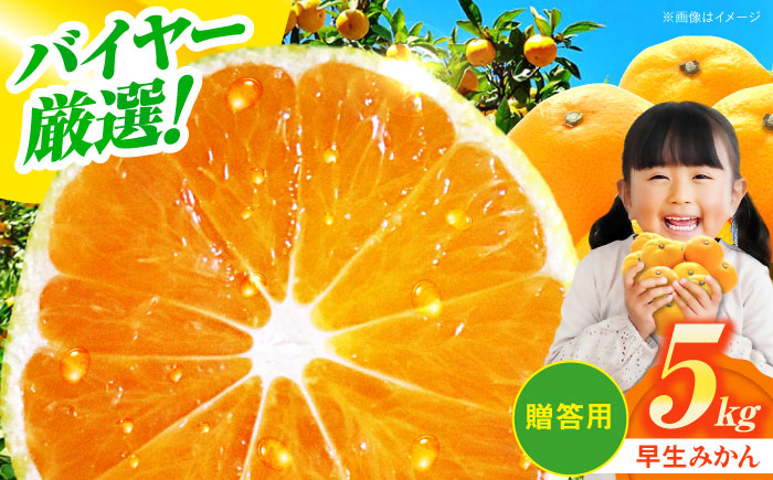 みかん ミカン 温州みかん みかん 贈答 愛媛 みかんジュース みかん 5kg 早生 フルーツ 果物 デザート おやつ 蜜柑