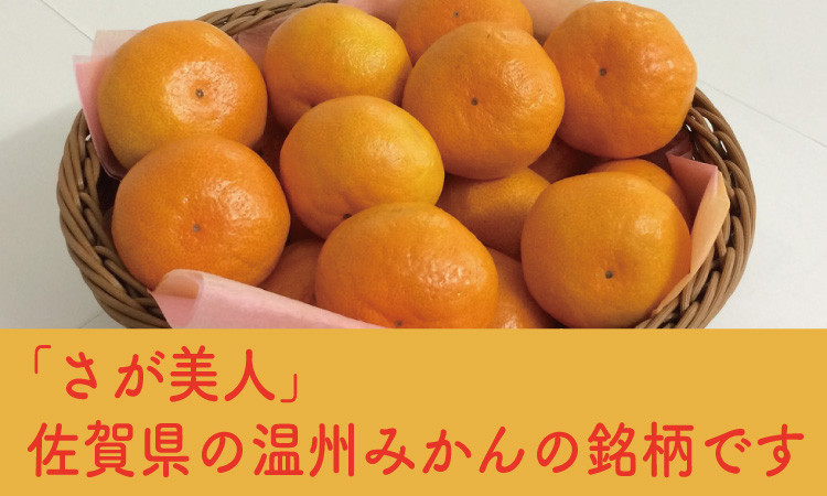 佐賀県が誇る温州みかんブランド！